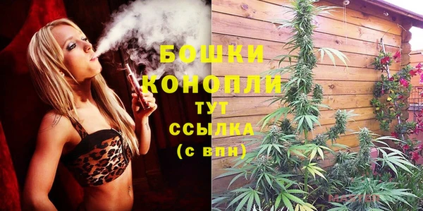 амфетамин Белокуриха