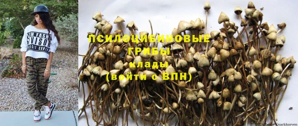 дурь Беломорск