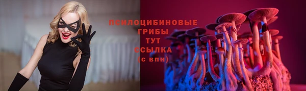 герыч Строитель