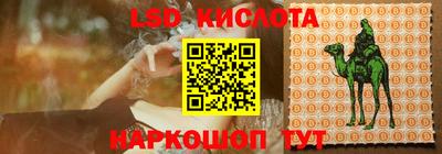 дживик Бийск