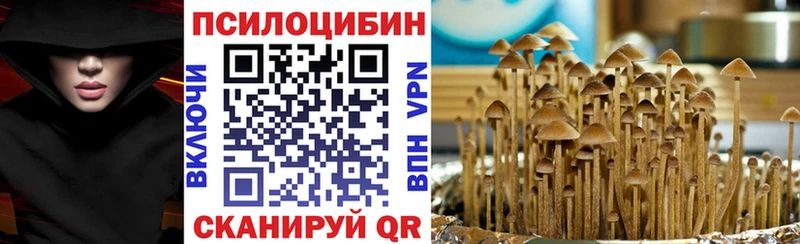 Галлюциногенные грибы Psilocybe  hydra зеркало  Видное 