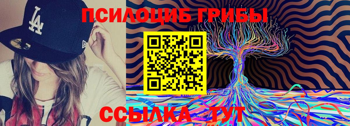 Псилоцибиновые грибы Psilocybe  где купить наркоту  Псилоцибиновые грибы ЛСД  Видное 